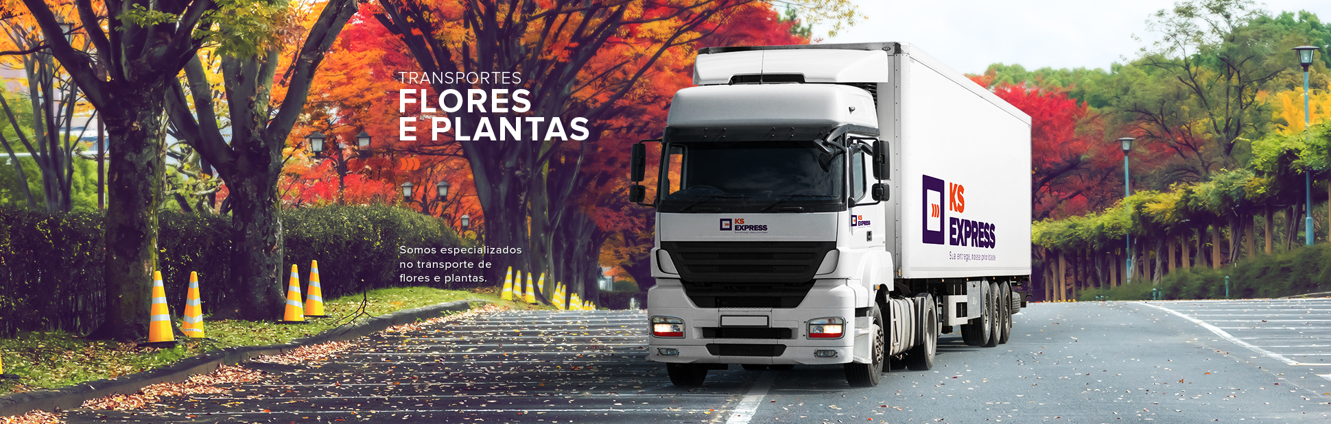 banner-flores
